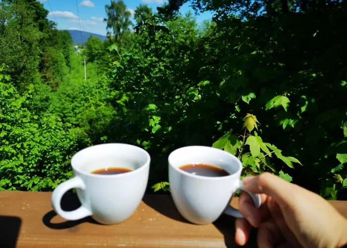 شقة Blizej Chmur Dolny كارباش